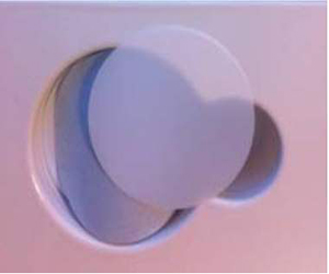 13MM/25MM/47MMwhatman無機(jī)膜氧化鋁膜