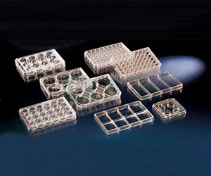 Thermo Nunc 6孔板 細胞培養(yǎng)板140675 平底 已滅菌 進口