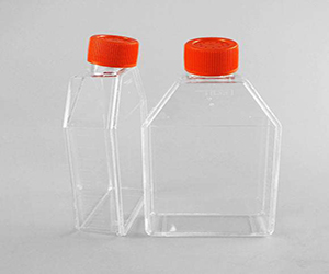 康寧430641細(xì)胞培養(yǎng)瓶 透氣蓋，斜頸