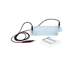 六一DYCP-32B型瓊脂糖水平電泳槽（中號(hào)）