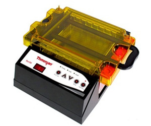 RunGel實(shí)時(shí)檢測電泳儀