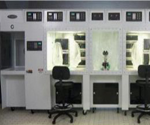 美國(guó)Biospherix干細(xì)胞工作站（stem cell workstation）