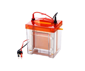 德國(guó)peqlab*Perfect Blue 垂直電泳槽