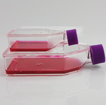 Corning細胞培養(yǎng)瓶 430725