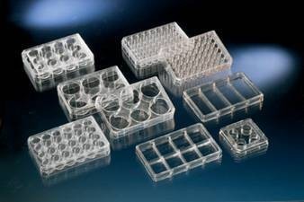 nunc多孔懸浮細胞培養(yǎng)板