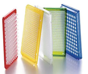 艾本德96孔PCR板 無色，白色，藍色