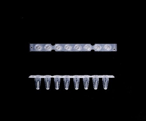 0.2ml八聯排PCR管，光學平蓋，透明，科進/KIRGEN