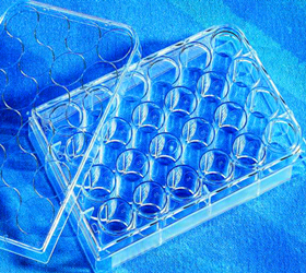 Corning 12孔細(xì)胞培養(yǎng)板 3513