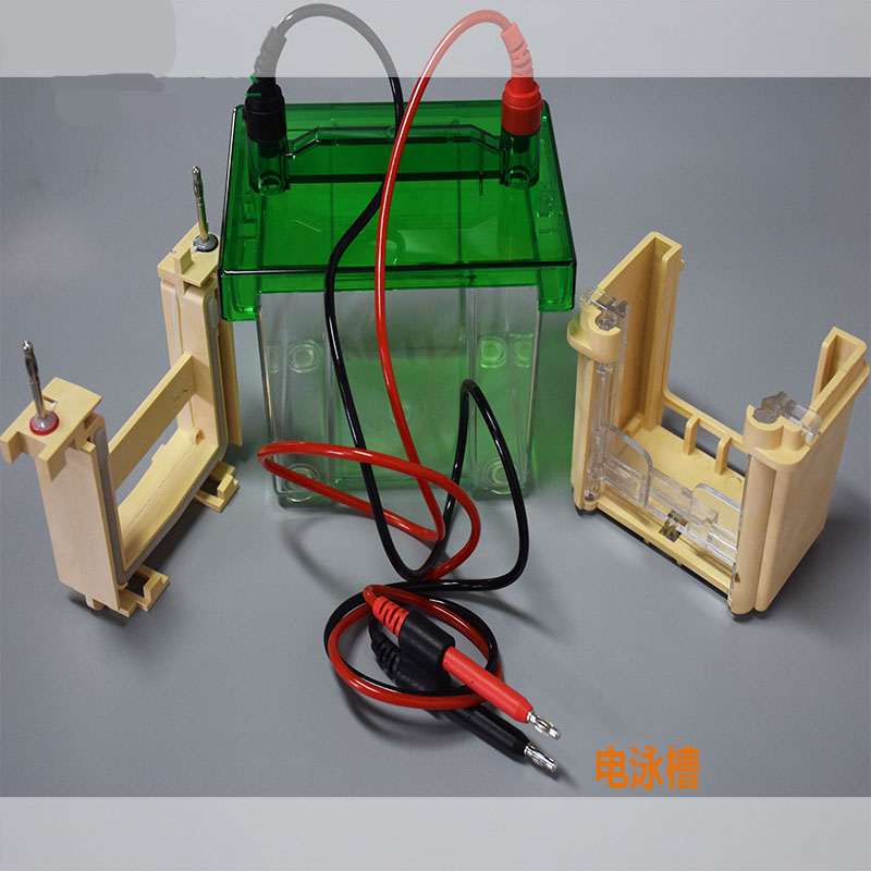 騰昌旭坤適用于伯樂款雙垂直電泳槽-01018000/1/2/3/6/7