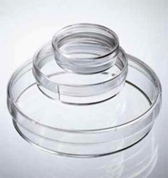 艾本德細(xì)胞培養(yǎng)皿 （貨號：0030701011）