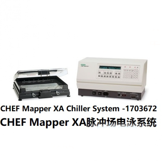 脈沖場電泳XA系統(tǒng)