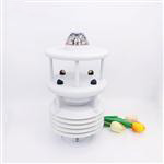 六要素光伏環(huán)境監(jiān)測儀