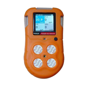 XR-172便攜式氣體探測(cè)器XR172