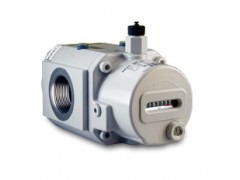 德國elster埃爾斯特流量計(jì)RVG-ST G10-G25