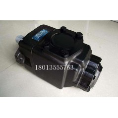 丹尼遜DENISON液壓泵經(jīng)營(yíng)T6C-008-2R02-B1