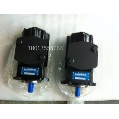 丹尼遜DENISON液壓泵參數(shù)T6C-020-2R01-B1