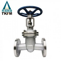 泰流科技（TKFM）手動(dòng)硬密封不銹鋼法蘭閘閥Z41W-10/16 P/RL