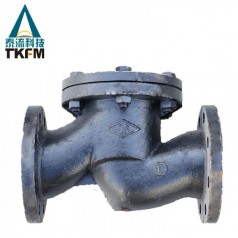 泰流科技（TKFM）自動(dòng)硬密封法蘭直通式止回閥H41W-16/25 Q/P/R