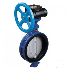 D371X美標(biāo)橡膠蝶閥-專業(yè)生產(chǎn)閥門邯高