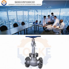 進口液化天然氣截止閥性能參數(shù),報價/價格,圖片