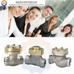 進口LNG液化天然氣止回閥性能參數(shù),報價/價格,圖片