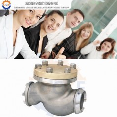 進口液氧止回閥性能參數(shù),報價/價格,圖片