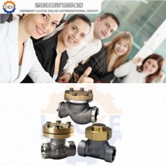 進口液氬止回閥性能參數(shù),報價/價格,圖片