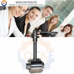 進(jìn)口LNG球閥性能參數(shù),報(bào)價(jià)/價(jià)格,圖片