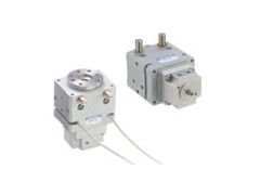 小金井搖動(dòng)型 (搖動(dòng)運(yùn)動(dòng))RAG