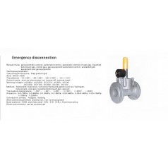 進(jìn)口低壓緊急切斷電磁閥（通電關(guān)閉、手動(dòng)打開(kāi)）