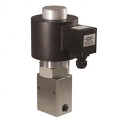 德國GSR燃?xì)怆姶砰y現(xiàn)貨 K0592410