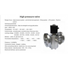 進(jìn)口帶手動(dòng)控制高壓電磁閥-德國萊克手動(dòng)高壓法蘭電磁閥