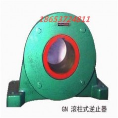 減速機(jī)主軸用逆止器 山東向上金品逆止器