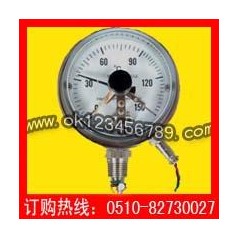 電接點(diǎn)雙金屬溫度計(jì)系列