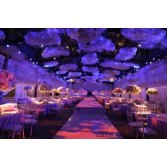 全息投影 5D光影餐廳 多媒體空間設(shè)計 沉浸式餐吧投影