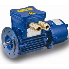 意大利CEMP無火花型電機(jī)