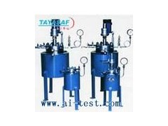 高壓反應釜/中國不銹剛高壓反應釜A3935072