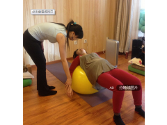 導(dǎo)樂(lè)球生產(chǎn)廠家  兩種型號(hào)   任你選擇