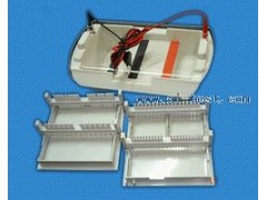 瓊脂糖水平電泳槽/中國 瓊脂糖水平電泳槽 A130241