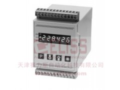 進(jìn)口德國(guó)ERMA測(cè)量?jī)x表