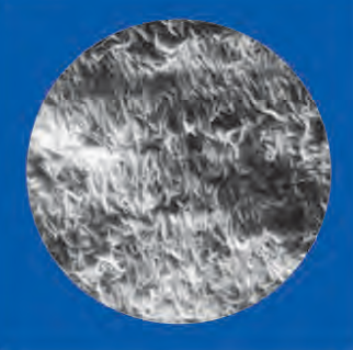 頗爾PALL BSP0161 FluoroTrans®PVDF轉(zhuǎn)移膜