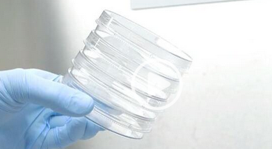 Nunc? EasYDishes（培養(yǎng)皿）新品上市 40mm、60mm、100mm、150mm