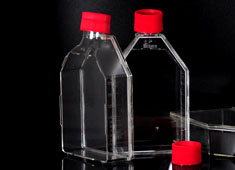 T75細(xì)胞培養(yǎng)瓶，透氣蓋