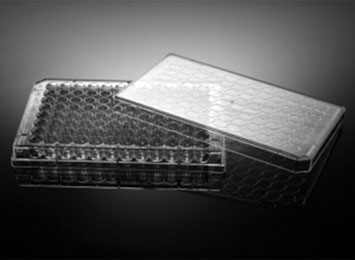 NEST® 96孔細(xì)胞培養(yǎng)板，透明，平底，PS，TC，EB滅菌 701001