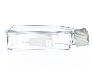 懸浮細(xì)胞培養(yǎng)瓶（懸浮式，滅菌） 690190 50ml，白色標(biāo)準(zhǔn)蓋