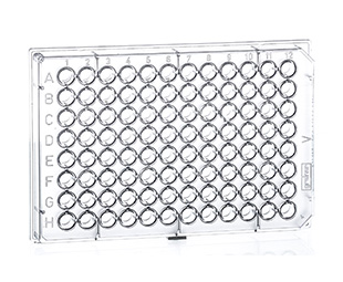 Greiner 96孔細(xì)胞培養(yǎng)微孔板（聚苯乙烯，TC表面處理，滅菌）651180 V型底，透明色，帶