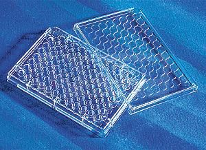 康寧/Corning 96孔細胞培養(yǎng)板3599 TC表面，無菌無熱源