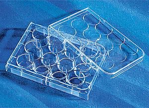 康寧/Corning12孔細胞培養(yǎng)板3513 TC表面，無菌無熱源
