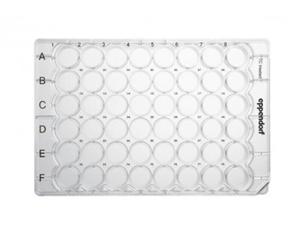 細胞培養(yǎng)板，48 孔,0030723015