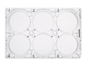 細胞培養(yǎng)板，6 孔，0030720130